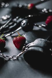 vip проститутки киева